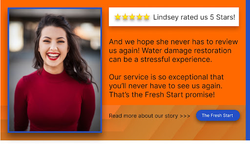 customer review - will county water damage